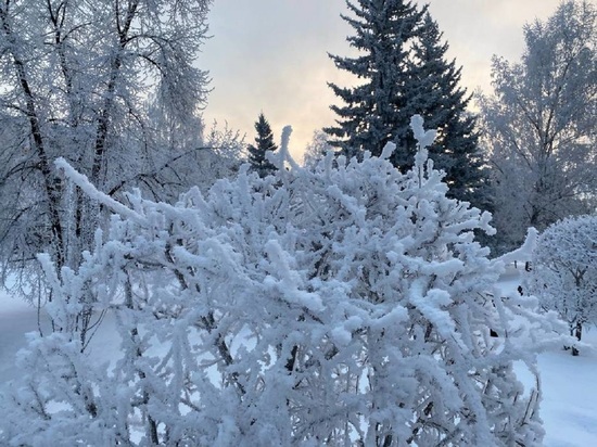 Жителям Алтая пообещали морозы до -35 градусов в начале зимы