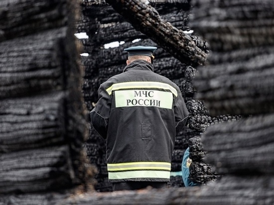 Труп обнаружили после пожара в хозяйственной постройке в Опочецком районе