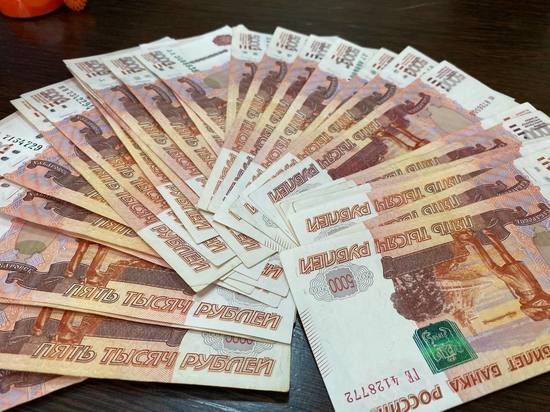 Бийчанин пытался скрыть от государства имущество на 59 млн рублей