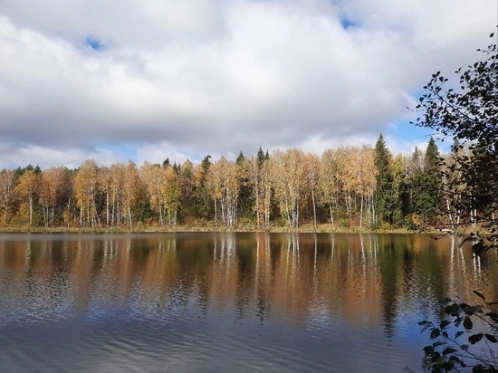 Минприроды рассказало об озере Любви в Калужской области