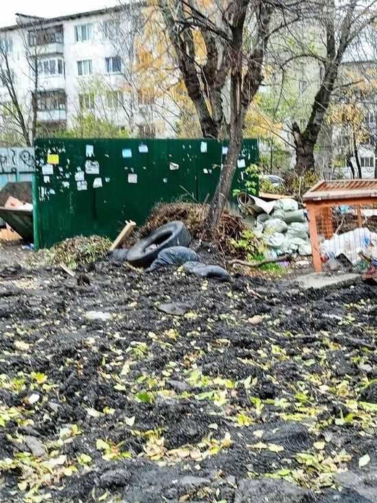 Пензенцы жалуются на свалку мусора по улице Ставского