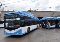 По информации сотрудников автотранспортного управления Мариуполя, на улицах города в ближайшее время появятся автономные троллейбусы