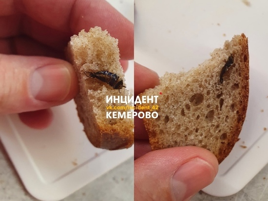 Житель Кемерова купил в пекарне хлеб с тараканами