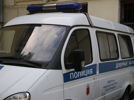 Москвича обвинили в усыплении группы подростков и изнасиловании школьницы