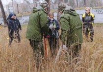 Городской округ Серпухов присоединился к Всероссийской экологической акции «Кедры России»