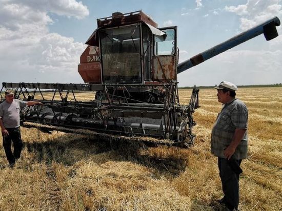 Калмыкия получила дополнительную субсидию для поддержки производителей зерна
