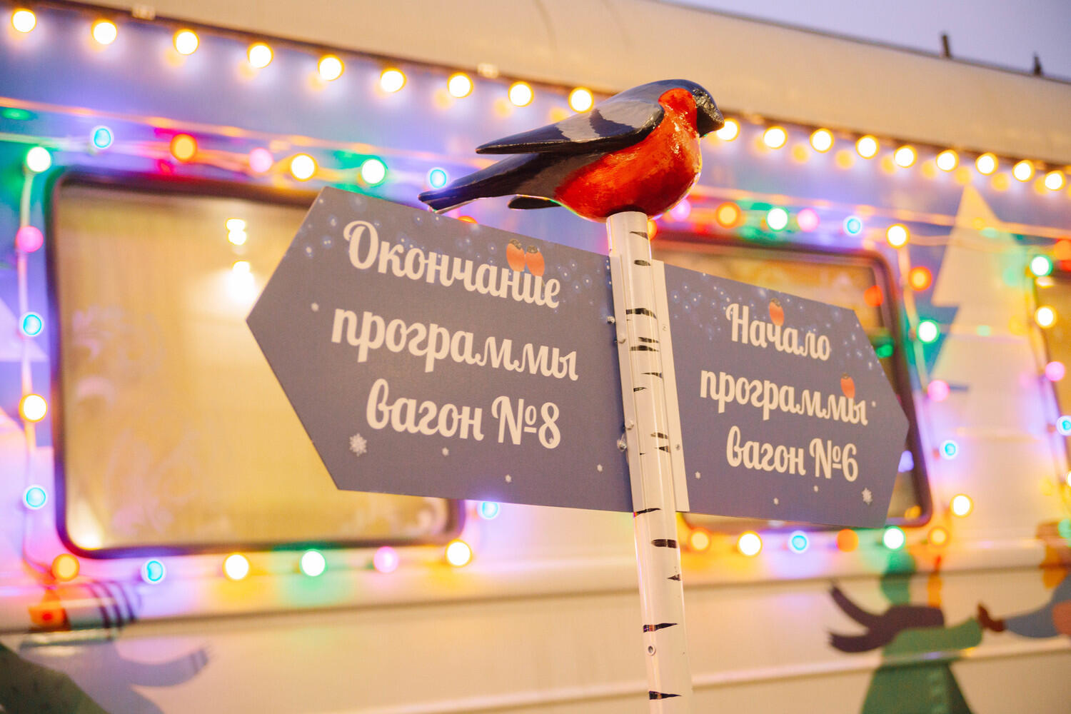  Хабаровчане встретили поезд Деда Мороза: фото передвижной резиденции