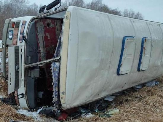 По факту смертельного ДТП с пассажирским автобусом возбудили уголовное дело