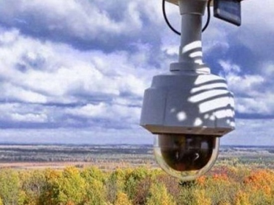 В Моршанском лесхозе появится видеосистема «Лесохранитель»