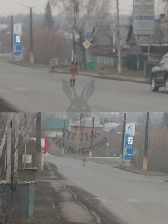 Окровавленная женщина разгуливала по улице в кузбасском городе