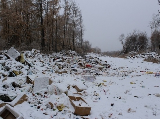 В лесах Приангарья уберут ещё 10 несанкционированных свалок