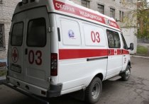 Женщина с ребенком попала под колеса грузовика в Барнауле