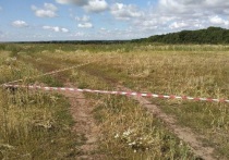В городском округе Серпухов в текущем году земельные участки для строительства дома получили уже 116 многодетных семей
