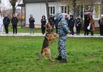 В Центре по профориентации и трудоустройству молодёжи городского округа Серпухов состоялось общегородское мероприятие «Служим России – служим закону»