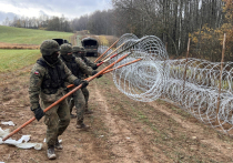 Белорусские пограничники на границе с Польшей сообщили об обнаружении иностранца, избитого польскими силовиками и выгнанного из Польши босиком