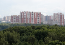 Цена квадратного метра жилой недвижимости в России продолжит снижаться благодаря сразу нескольким факторам