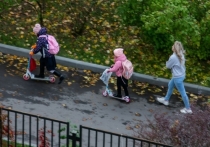 Госдума РФ приняла в третьем, окончательном чтении законопроект о приоритетном зачислении приемных детей в одно образовательное учреждение вместе с братьями и сестрами