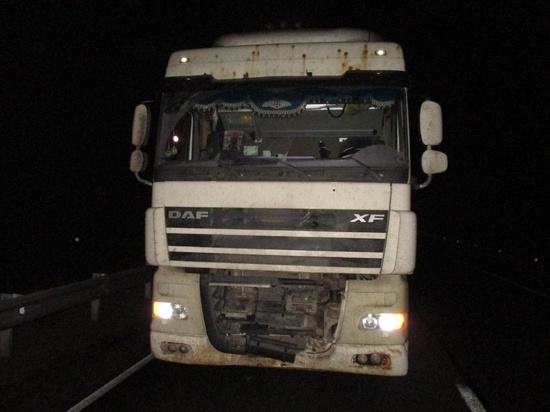 Грузовик насмерть задавил пешехода на дороге Карелии