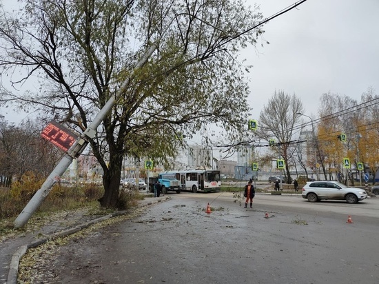 В Песочне из-за обрыва проводов ЛЭП перекрыто движение по одной полосе