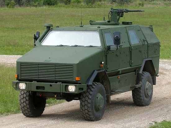 Германия передала Киеву 30 БМП Dingo и ракеты для IRIS-T