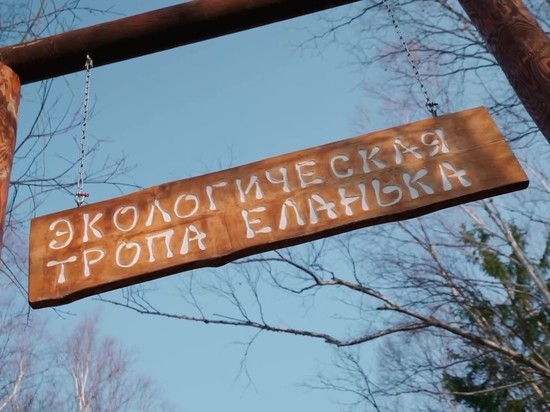 «Горный воздух» приступил к обустройству новой экотропы в Южно-Сахалинске