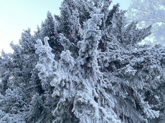 Снег и гололед ожидается на Алтае 10 ноября