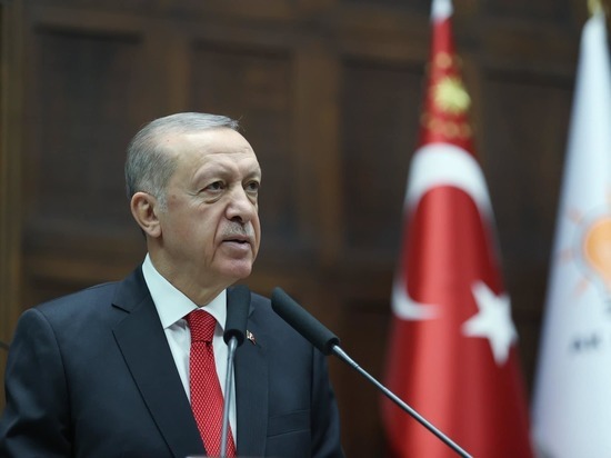 Эрдоган положительно оценил отвод российских войск из Херсона