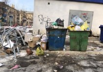 С января 2023 года могут запретить вывозить твёрдые коммунальные отходы куда-то, кроме специально оборудованных полигонов