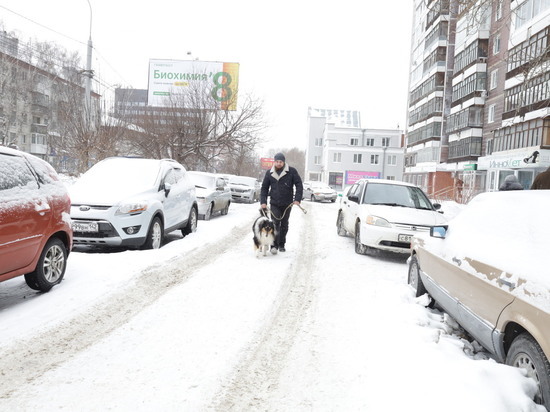 Поздний снежный покров в Томске и области стал устойчивой тенденцией