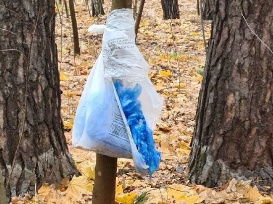 В лесу Балашихи нашли несколько пакетов с медицинскими отходами