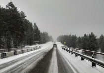 В Забайкальском, Агинском, Борзинском, Хилокском и Петровск-Забайкальском районах выпал снег, в связи с чем водителей просят быть осторожными на дорогах