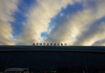 В московском аэропорту Домодедово граждан Киргизии ограбили на четыре миллиона долларов