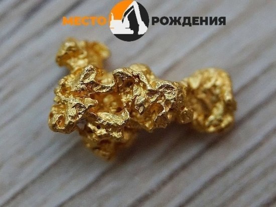 ФСБ изъяла у трех забайкальцев и иркутянина слитки золота на 10 млн руб
