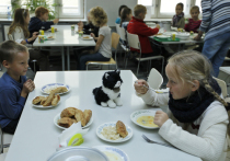 Свыше 7 тысяч детей мобилизованных получили льготы в детских садах и школах Московской области