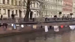 Неизвестные украсили канал Грибоедова в Петербурге нижним бельем: видео хулиганства