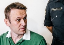 В России ликвидировали ИП, зарегистрированное на имя оппозиционера Алексея Навального
