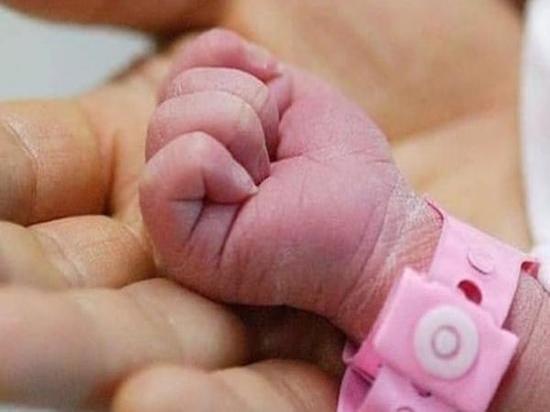 Афина-Вита и Аристарх: как жители Ростовской области называли новорожденных