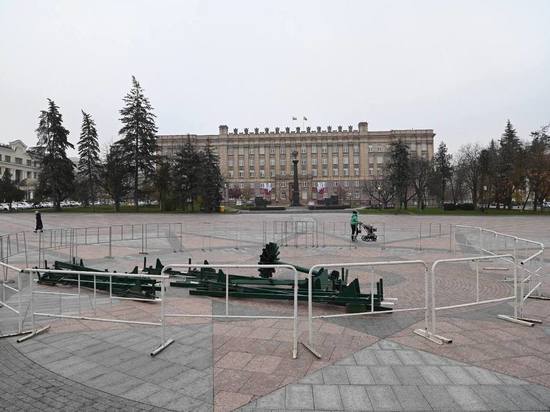 В Белгороде начали устанавливать главную новогоднюю елку