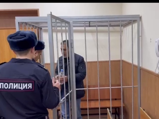 Владельца сгоревшего клуба "Полигон" депутата Мирзоева арестовали