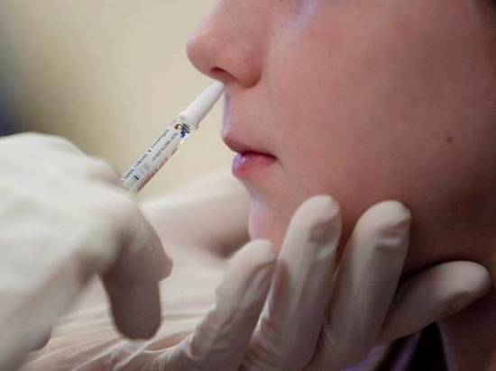 Калуга получила 14 тыс насадок для назальной вакцины от ковид