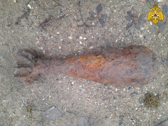 Две мины и три снаряда нашли в лесах Калужской области