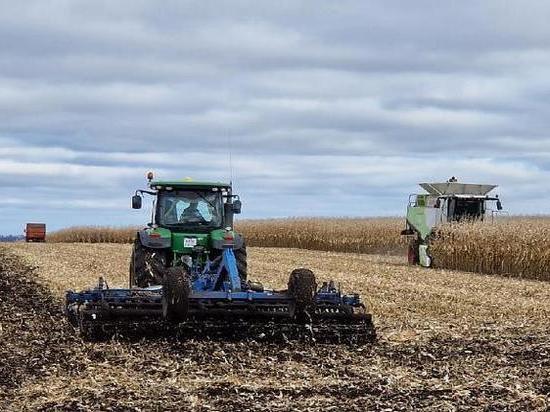 В Курской области аграрии убрали 95% площади зерновых посевов