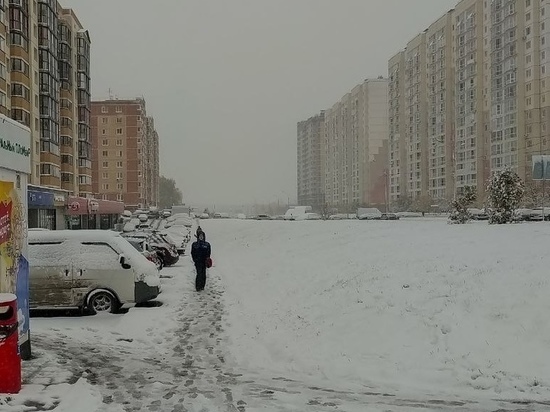 Мокрый снег и 0 градусов прогнозируются в Новосибирске 11 ноября