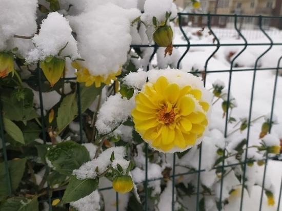 Стало известно, растает ли выпавший в Новосибирске снег