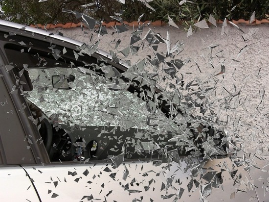 Жительница Карелии кидалась камнями в автомобиль, сбивший ее собаку