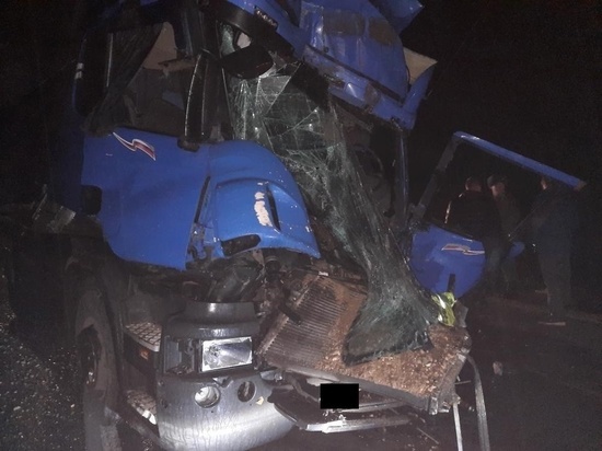 Один человек пострадал в столкновении двух фур Scania в Тверской области