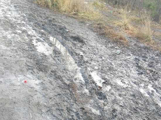 Тропа к школе Петрозаводска утонула в грязи
