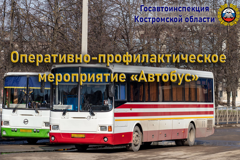 В Костромской области пройдет оперативно-профилактическое мероприятие «Автобус»