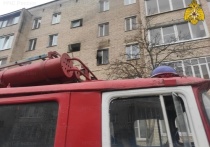 На пожаре в Жукове Калужской области погибла бабушка