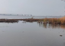 Антоновского моста через Днепр больше не существует